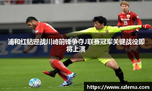 BB贝博艾弗森体育