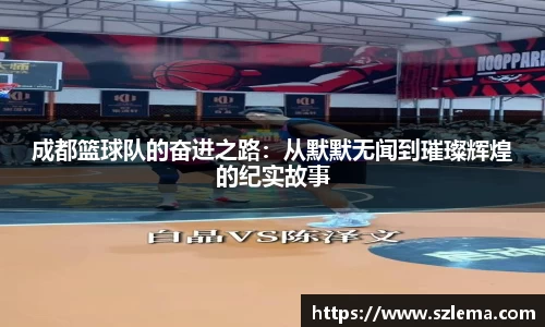 BB贝博艾弗森体育