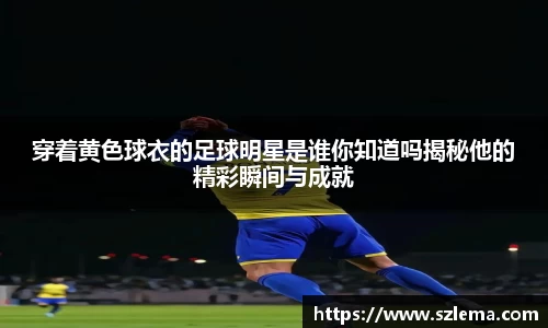 BB贝博艾弗森体育