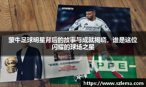 中国·BB贝博艾弗森